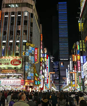 tokyo gate kabukicho - TRIP REPORT - Christmas and New Year in Asia