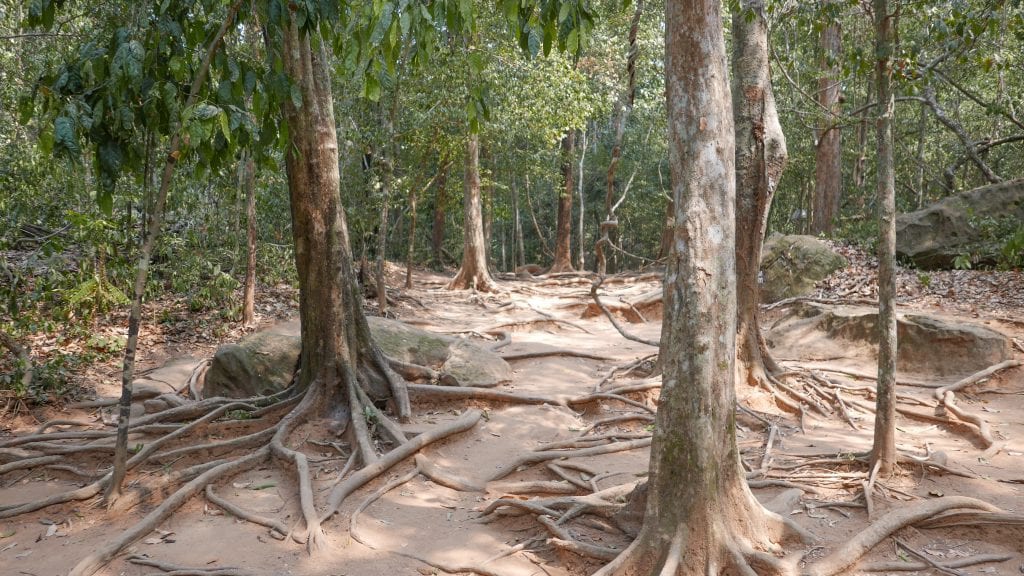 Temples 5 Kbal Spean 1 1024x576 - GUIDE - Touring the Temples of Siem Reap