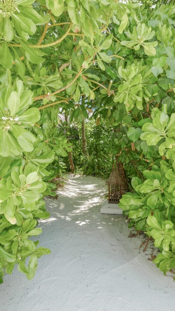 Beach Villa Conrad Rangali 2016 35 576x1024 - REVIEW - Conrad Maldives : Beach Villa (pre-renovation)