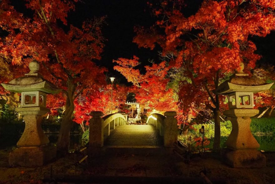 kyoto night toro autumn 1 880x591 - REVIEW - ANA Suite Lounge - Tokyo Haneda (HND) Gate 110