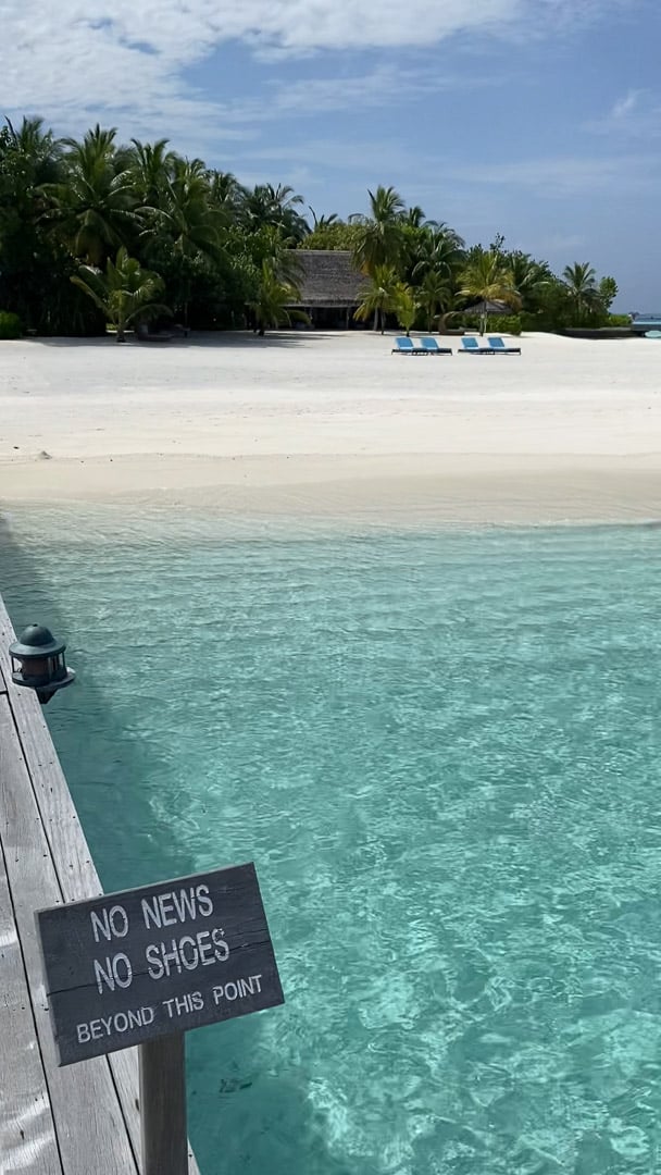 constance moofushi 2 - REVIEW - Constance Moofushi