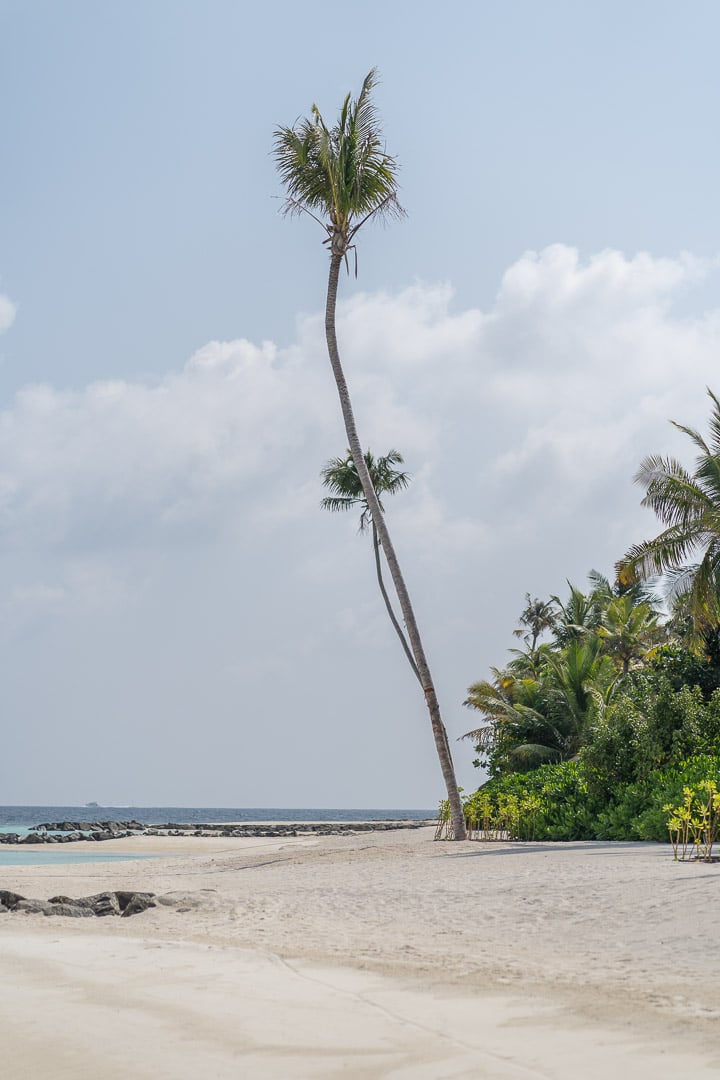 waldorf astoria maldives public spaces 10 - REVIEW - Waldorf Astoria Maldives Ithaafushi