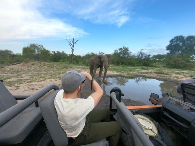 silvan 179 768x576 - REVIEW - Silvan Safari (Sabi Sands, SA)