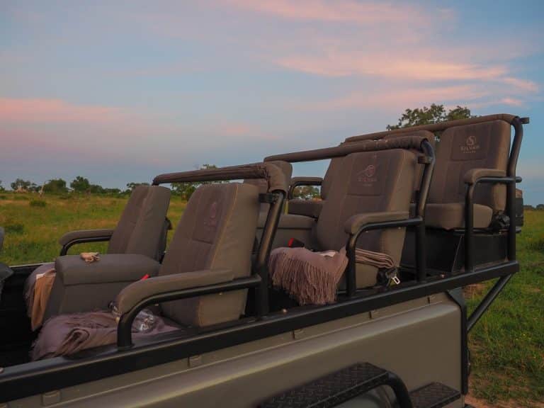 silvan 89 768x576 - REVIEW - Silvan Safari (Sabi Sands, SA)