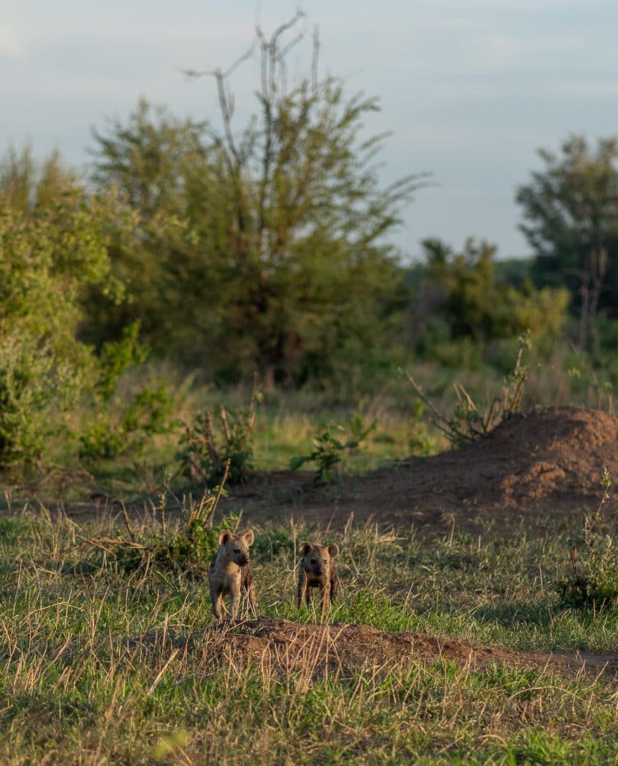 Matetsi 178 e1629654049388 - REVIEW - Matetsi Victoria Falls (Zimbabwe)