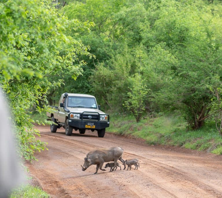 Matetsi 8 768x687 - REVIEW - Matetsi Victoria Falls (Zimbabwe)