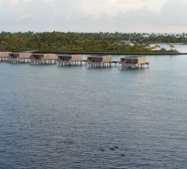 dolphins patina - What's the best hotel in the Maldives?