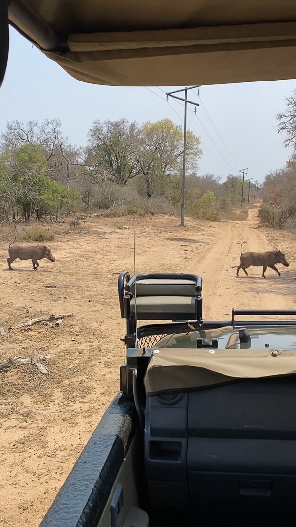 Earth lodge flight 5 - REVIEW - Sabi Sabi Earth Lodge (South Africa)