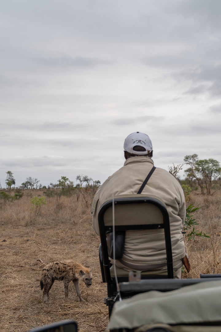 Sabi Sabi Earth Lodge 178 - REVIEW - Sabi Sabi Earth Lodge (South Africa)