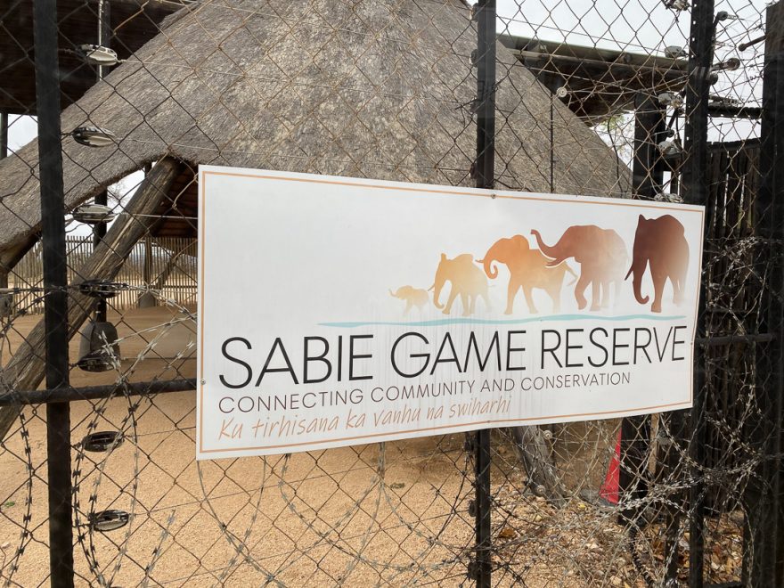 Sabi Sabi Earth Lodge 3 880x660 - REVIEW - Sabi Sabi Earth Lodge (South Africa)