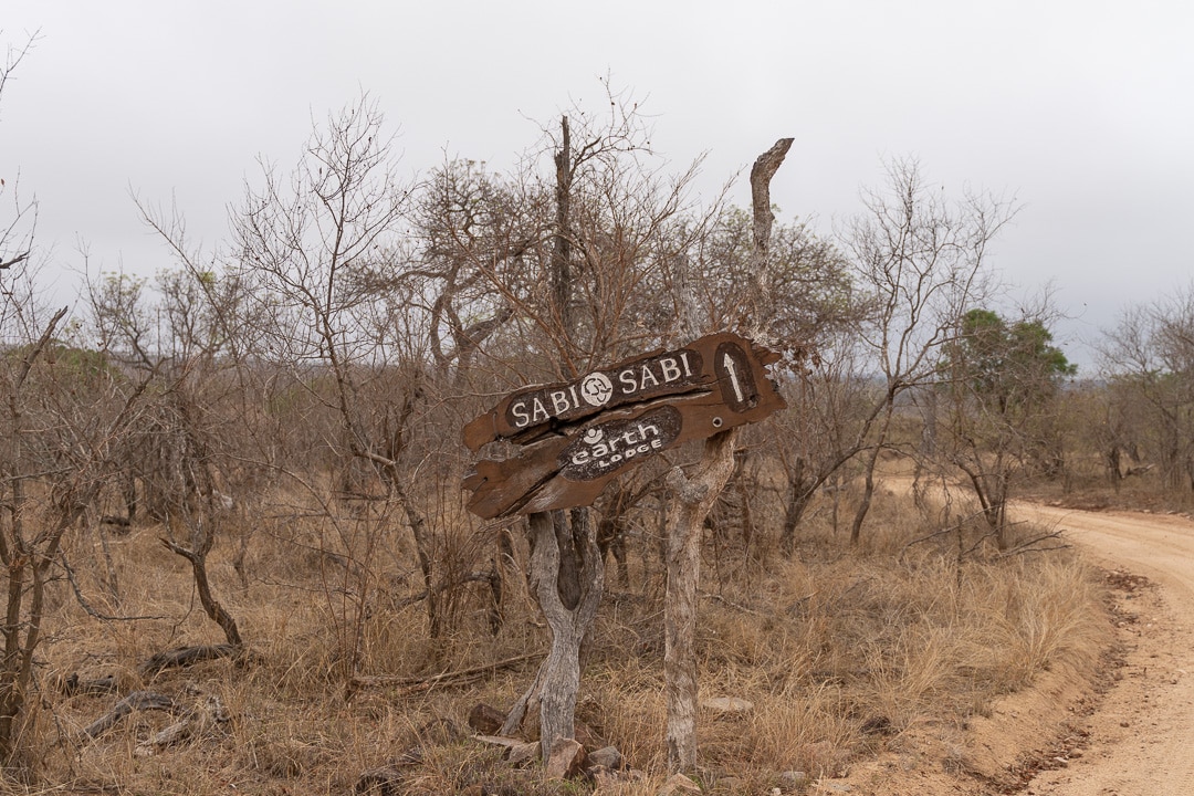 Sabi Sabi Earth Lodge 5 - REVIEW - Sabi Sabi Earth Lodge (South Africa)