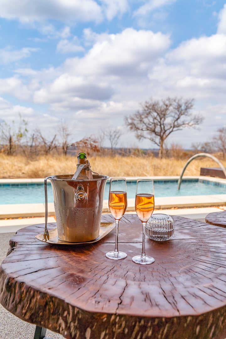 Sabi Sabi Earth Lodge 69 - REVIEW - Sabi Sabi Earth Lodge (South Africa)