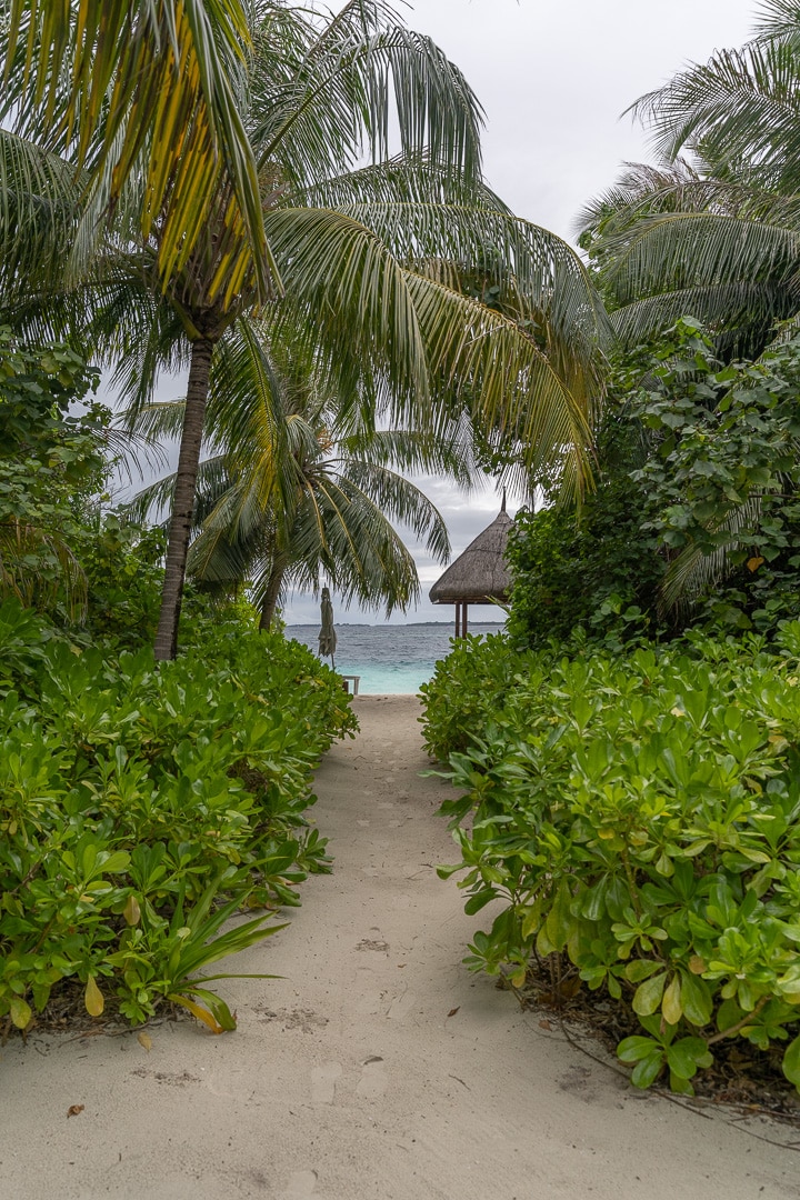 Four Seasons Landaa Giraavaru 134 - REVIEW - Four Seasons Landaa Giraavaru Maldives