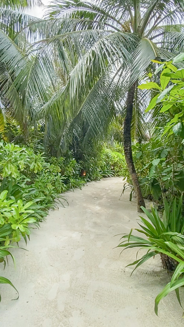 Landaa beach villa path 2 - REVIEW - Four Seasons Landaa Giraavaru Maldives