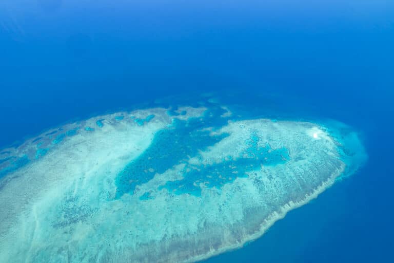 Lizard Island 18 768x512 - REVIEW - Lizard Island, Great Barrier Reef