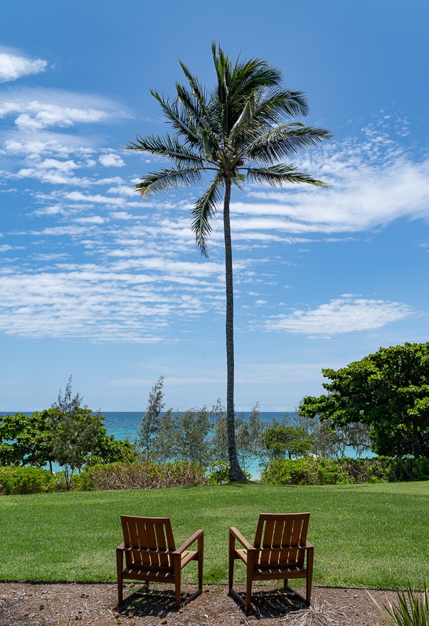 Lizard Island 31 - REVIEW - Lizard Island, Great Barrier Reef