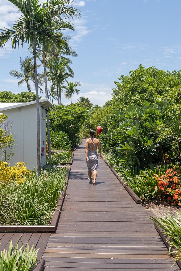 Lizard Island 32 - REVIEW - Lizard Island, Great Barrier Reef